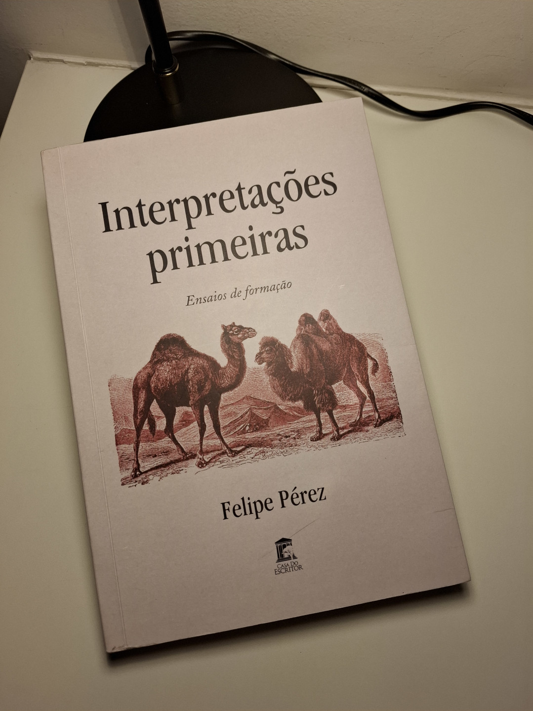 Capa do livro
          Interpretações Primeiras